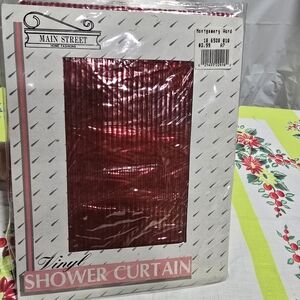 NOS Vintage Vinyl Shower Curtain Clear W/ Red Stripes